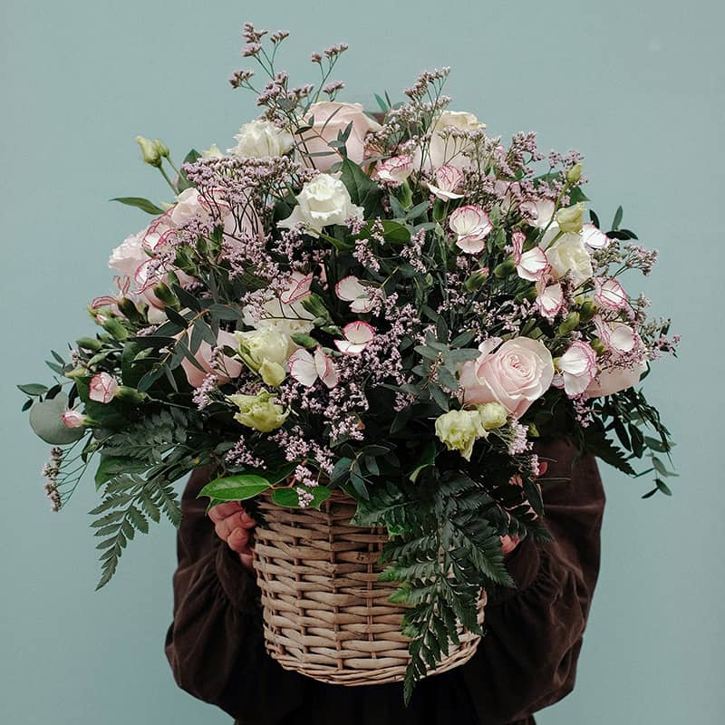 centro violeta