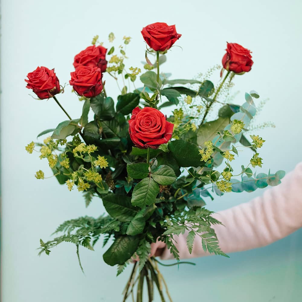 6 rosas rojas